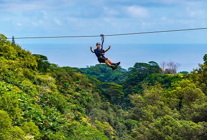 Guide and guests safely ziplining over the Hawaiian jungle